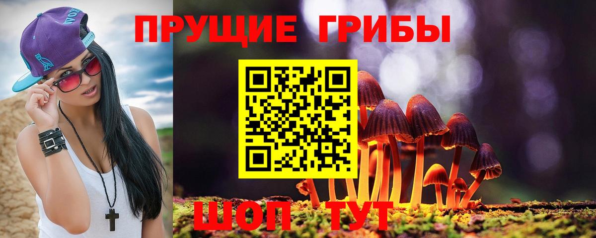 Псилоцибиновые грибы Psilocybine cubensis Гагарин